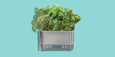 12 Best Indoor Herb Gardens to Buy in 2023 - goodhousekeeping.com