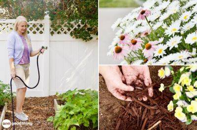 7 Gardening Tips That Will Save You Time And Energy - onegoodthingbyjillee.com