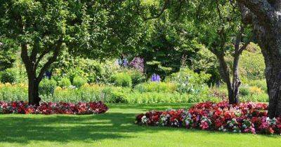 The Best Flowering Perennials for the Shade | Gardener's Path - gardenerspath.com