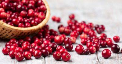 What Are the Health Benefits of Cranberries? - gardenerspath.com - Usa