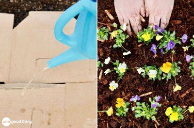 No-Dig Gardening: How To Start One And 4 Reasons To Try It - onegoodthingbyjillee.com