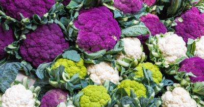 The 13 Best Cauliflower Varieties for the Home Garden | Gardener's Path - gardenerspath.com - India