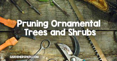 Pruning Ornamental Trees and Shrubs | Gardener's Path - gardenerspath.com