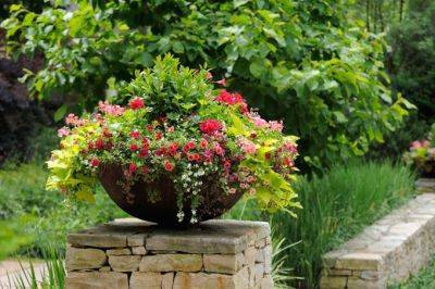 What Is the Best Material for Plant Pots, Containers, and Planters? | GP - gardenerspath.com