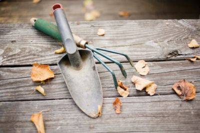 14 Tips for Putting Your Garden to Bed This Fall - onegoodthingbyjillee.com