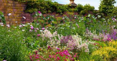 17 Flowering Perennials That Will Grow Anywhere | Gardener's Path - gardenerspath.com - Usa - Britain