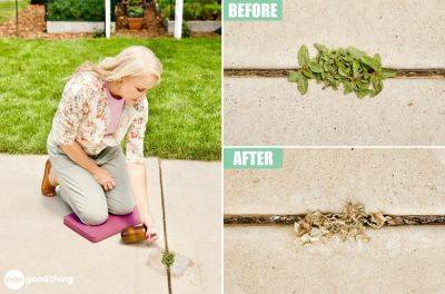 This Cheap DIY Weed Killer Makes Weeds Disappear - onegoodthingbyjillee.com