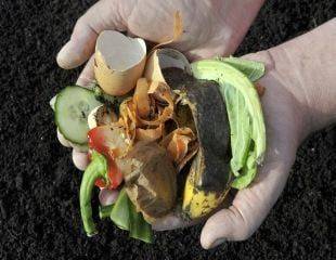 How to start a compost bin and keep it at its best - sundaygardener.co.uk