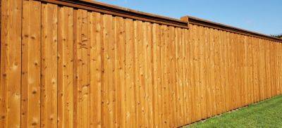 What Are the Best Fence Panels for Windy Areas? - FG UK - blog.fantasticgardeners.co.uk - Britain