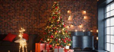 Why Do We Have Christmas Trees and Who Introduced Them to England - blog.fantasticgardeners.co.uk - China - Egypt