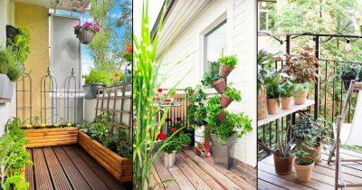 19 Balcony Gardening Tips to Follow Before Setting up a Balcony Garden - balconygardenweb.com