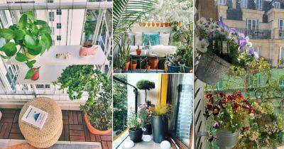 24 Ultimate Pictures of Balcony Gardens in March 2021 From Instagram - balconygardenweb.com