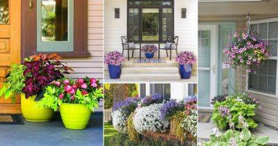 21 Colorful Outdoor Plants for Patio and Porch - balconygardenweb.com