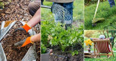 Monday to Sunday: 7 Day Garden Routine Guide for the Best Garden - balconygardenweb.com