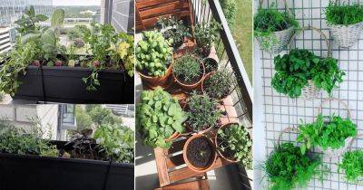 25 Balcony Herb Garden Ideas from Instagram - balconygardenweb.com