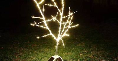 How to Make a DIY Fairy Light Tree With String Lights - hometalk.com