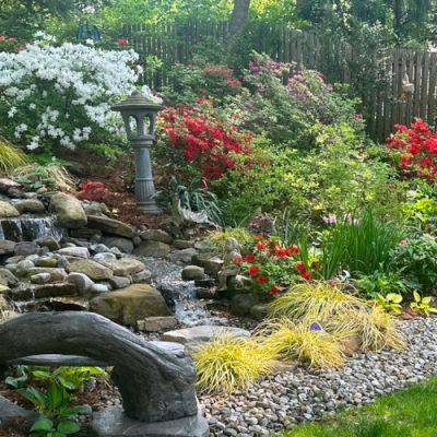 Judith’s Garden Adapting to Challenges - finegardening.com - China - Japan - state New Jersey