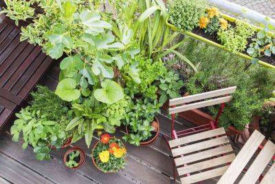 Design Tips for an Abundant Balcony Garden - treehugger.com
