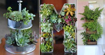 29 Smart Miniaturized Indoor Garden Projects With Succulents & Plants - balconygardenweb.com