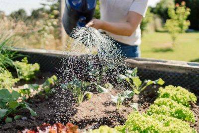 What an Hour of Gardening Does to Your Body - treehugger.com