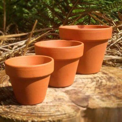 Plant Pot Sizes Inches to Gallon - balconygardenweb.com