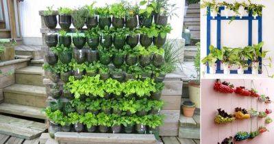 17 DIY Ideas for Growing Herbs in Plastic Bottles - balconygardenweb.com