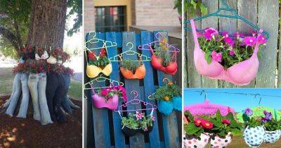 22 Unique Bra Garden Ideas | DIY Bra Plant Holders - balconygardenweb.com