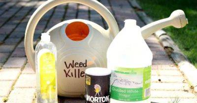All Natural Weed Killer DIY - hometalk.com