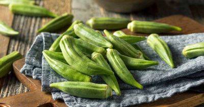 When and How to Harvest Okra: Tips and Advice | Gardener's Path - gardenerspath.com