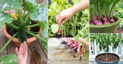 What Vegetables to Plant in March | Best March Produce Guide - balconygardenweb.com