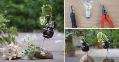 Recycle an Old Bulb into this DIY Bulb Planter! - balconygardenweb.com