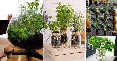 18 Brilliant Herbs in Glass Jar Ideas - balconygardenweb.com