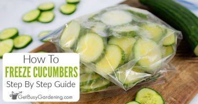 How To Freeze Cucumbers The Right Way - getbusygardening.com - Britain