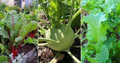 20 Vegetables that Grow in Shade | Best Shade Loving Vegetables - balconygardenweb.com