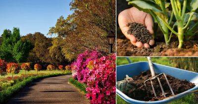 9 Important Things To Do In Garden In April | April Garden Tasks - balconygardenweb.com - county Garden