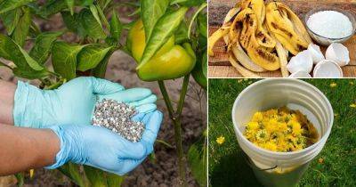 4 Best DIY Potassium Fertilizer Recipes - balconygardenweb.com