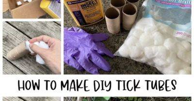 How to Protect Your Yard With DIY Tick Tubes - hometalk.com