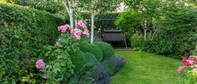 20 Best Evergreen Shrubs - gardenersworld.com