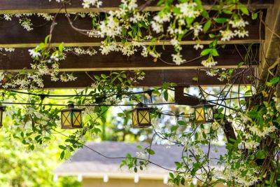 8 Cool Ideas for Creating Shade Outdoors - treehugger.com