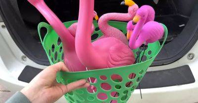 Dollar Store Flamingo Planters - hometalk.com