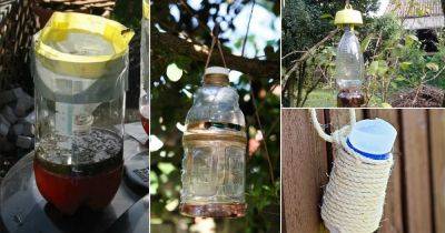 7 DIY Wasp Trap Ideas for Garden - balconygardenweb.com