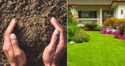 Tips to Increase Soil Bacteria in the Garden - balconygardenweb.com - state Washington - county Garden
