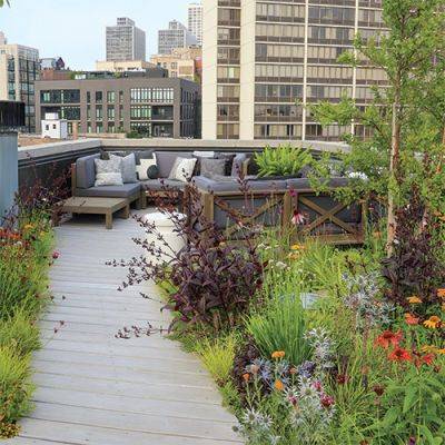 An Urban Rooftop Garden for Pollinators - finegardening.com - city Chicago - county Park