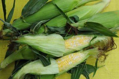 Food fest 5: some kernels about corn - awaytogarden.com - Mexico