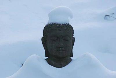 A garden buddha who wears many hats - awaytogarden.com