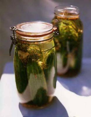 Into the drink: making pickles, drowning beetles - awaytogarden.com - Japan