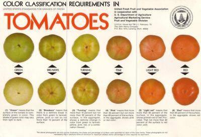 What color is your tomato? how to ripen them - awaytogarden.com