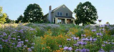 Larry weaner on meadow-making and more, with nature’s help - awaytogarden.com - state Virginia