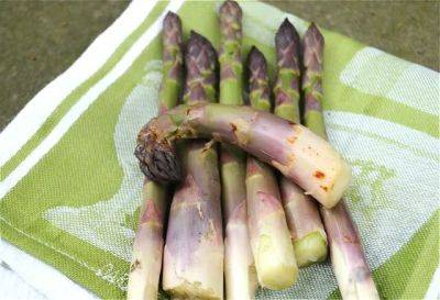 The age of asparagus, and a 5-cookbook giveaway! - awaytogarden.com
