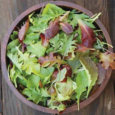 Microgreens to baby-leaf to full-size heads: mastering lettuce, with tom stearns - awaytogarden.com - state Vermont